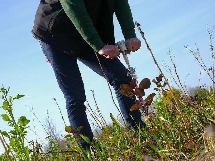Toepassing in het veld - Natural Grown