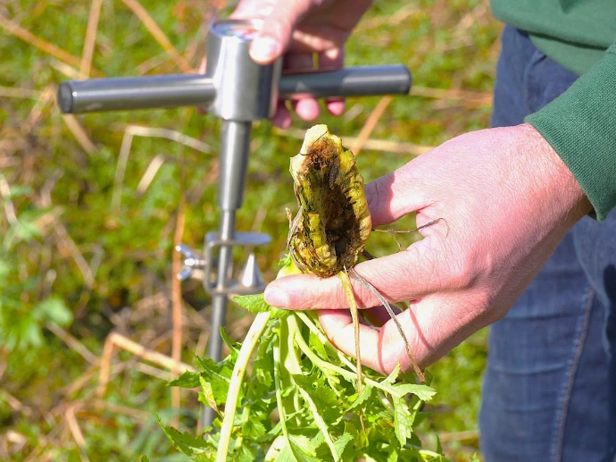 Toepassing in het veld - Natural Grown