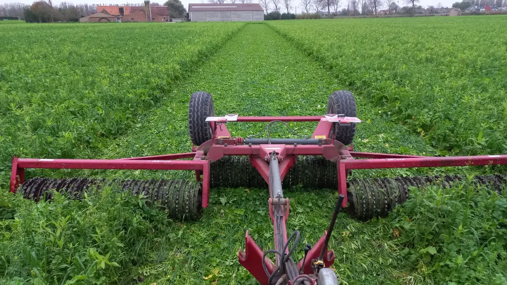 solarigol_natural_grown