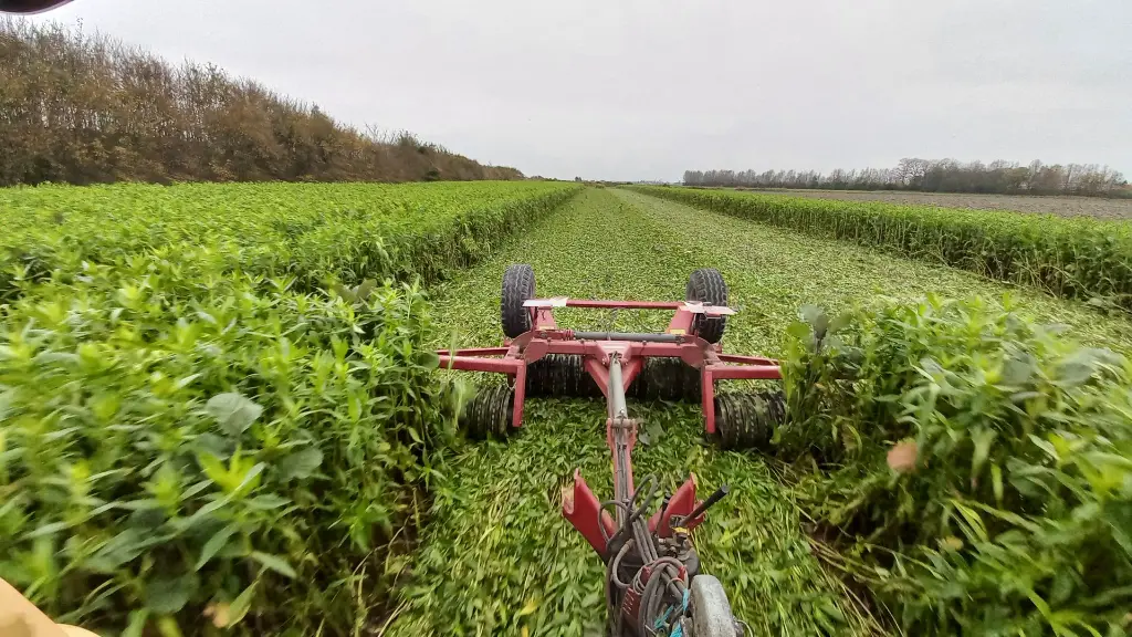 warmseason_natural_grown